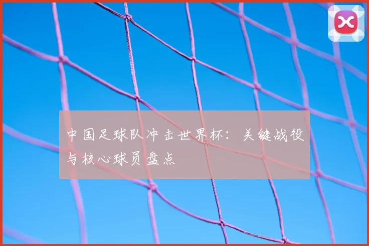 中国足球队冲击世界杯：关键战役与核心球员盘点