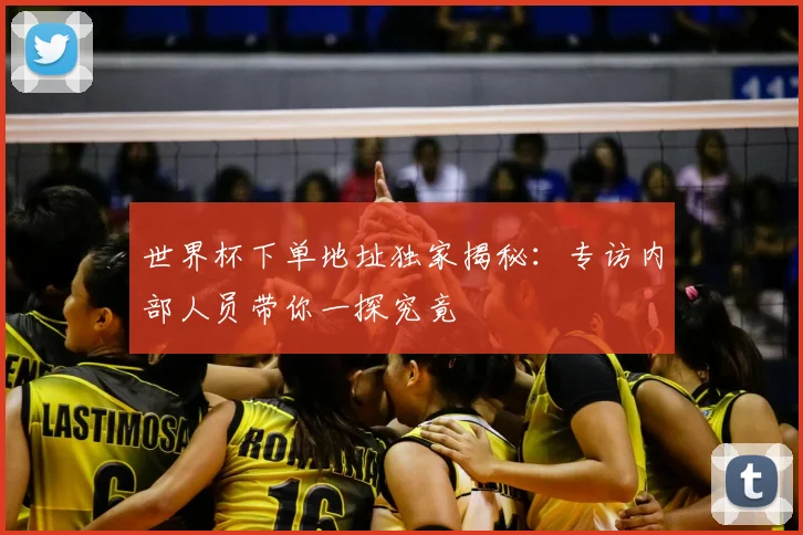 世界杯下单地址独家揭秘：专访内部人员带你一探究竟