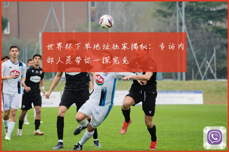世界杯下单地址独家揭秘：专访内部人员带你一探究竟