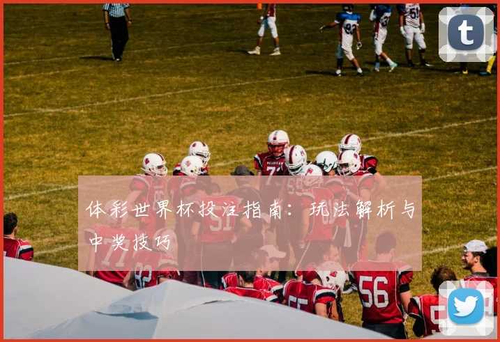 体彩世界杯投注指南：玩法解析与中奖技巧