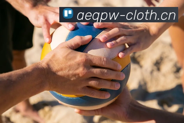 App Interface Preview