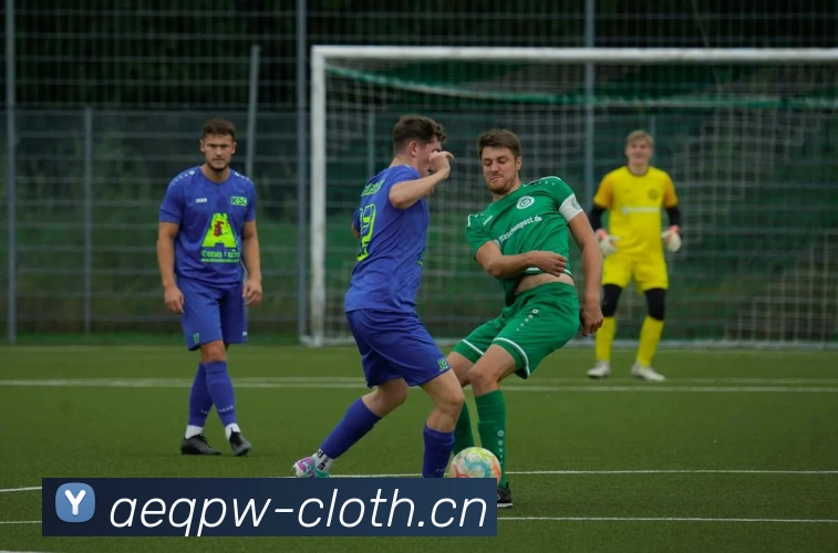 爱游戏app官方入口网站APP 封面图